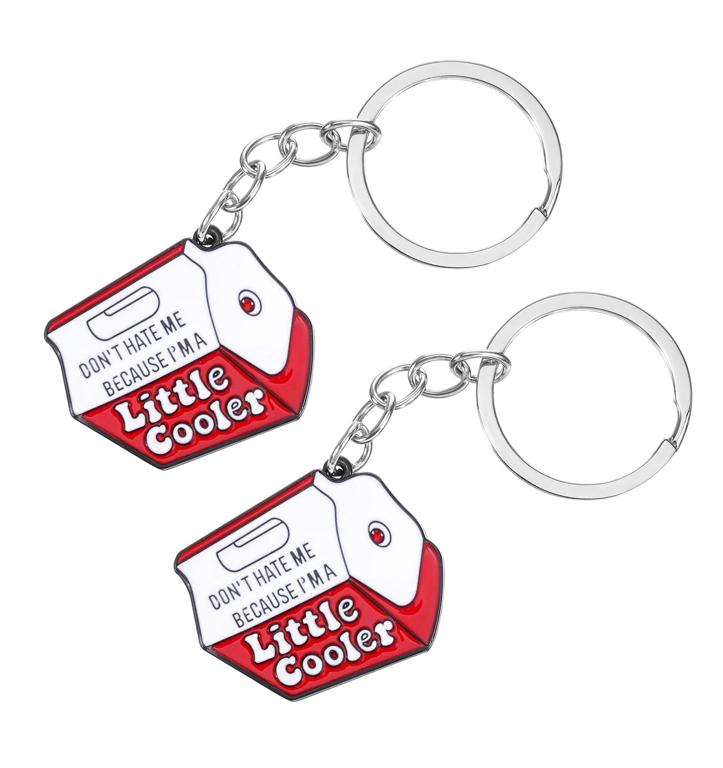 ValueBargain 2PCS Funny Keyring - Cool Metal Enamel Keychain Do Not Hate Me Because I'm a Little Cooler Cool Keyrings for Men Women, Purse Bag Car Keys Accessories