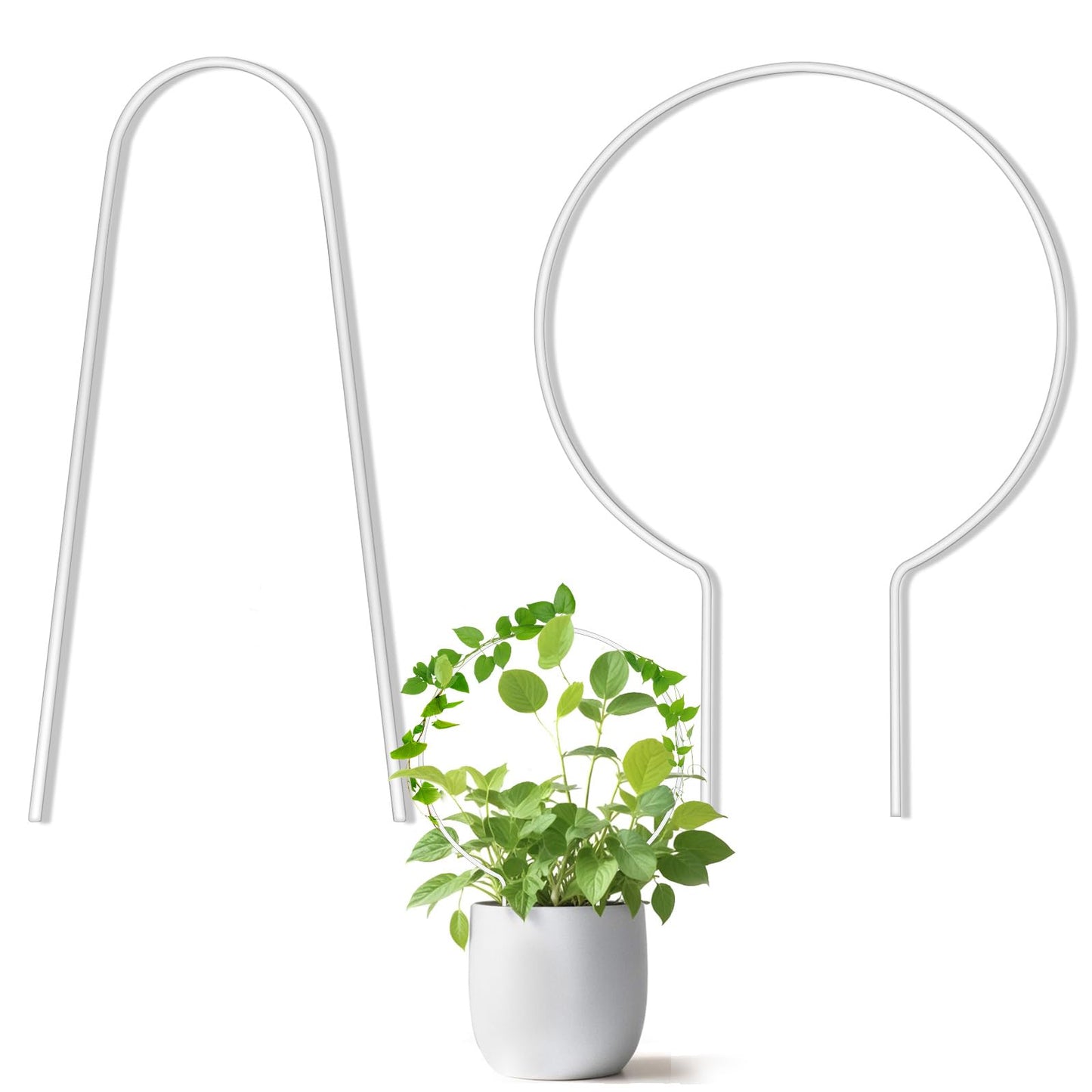 Classicseali Round Climbing Plant Support 2 Pieces Indoor and Outdoor Climbing Plants Acrylic Clear 2 Pcs