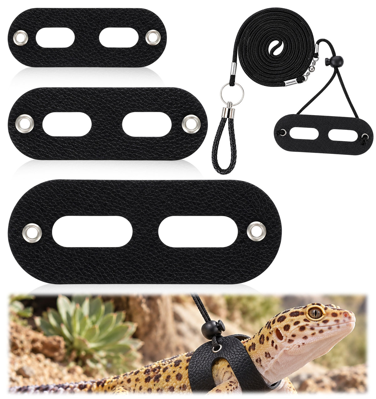 3Pcs Bearded Dragon Harness Set,Leash for Bearded Dragon(S, M, L)