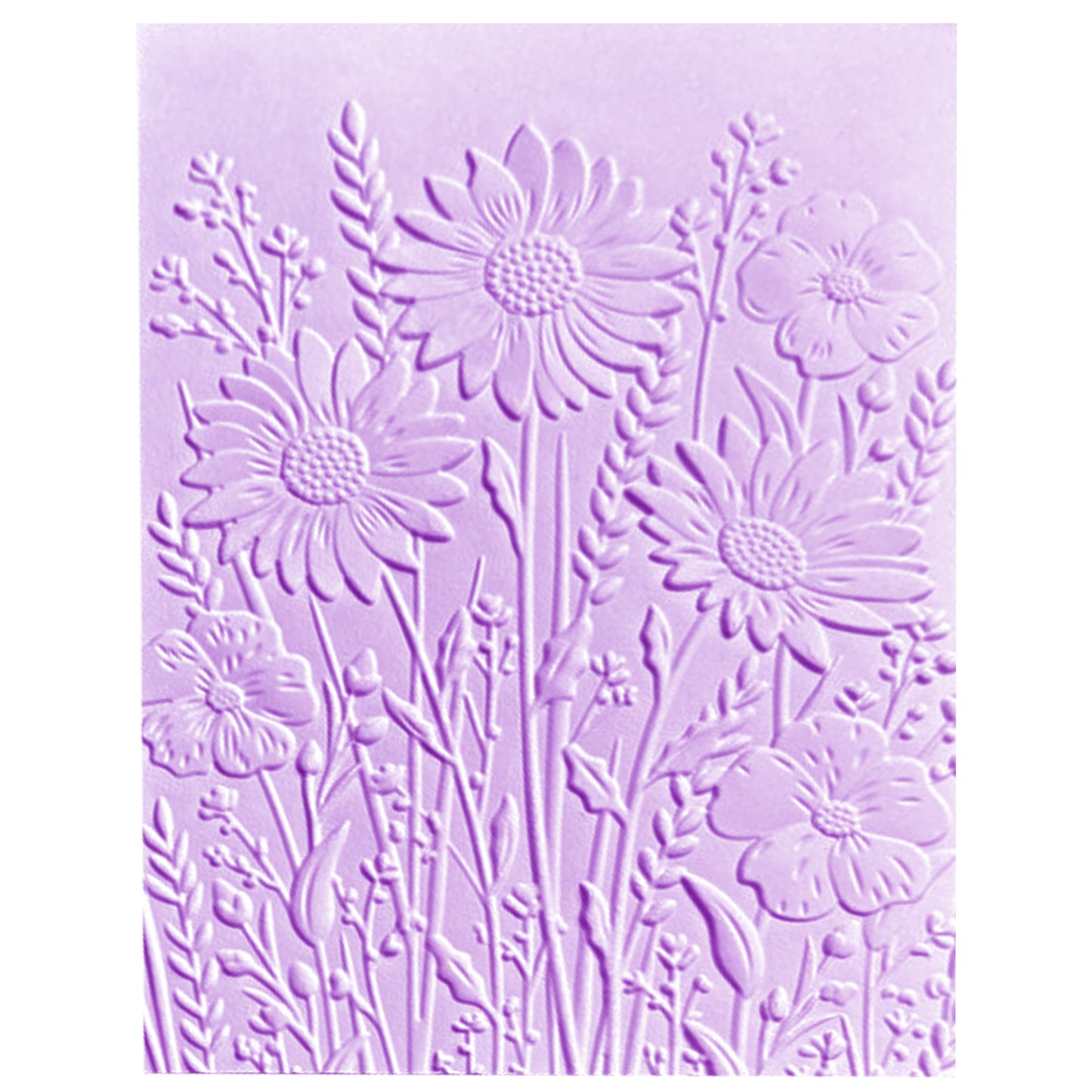 Classicseali 3D Embossing Folders,Transparent Embossing Folder, Daisy Flowers and Leaves Background, Embossed Plastic Embossings Folders for Card Making, for Scrapbooking, Paper Art, Art Supplies