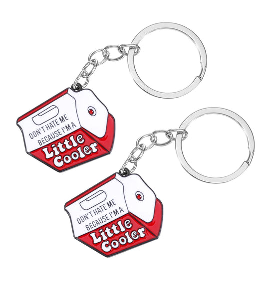 ValueBargain 2PCS Funny Keyring - Cool Metal Enamel Keychain Do Not Hate Me Because I'm a Little Cooler Cool Keyrings for Men Women, Purse Bag Car Keys Accessories