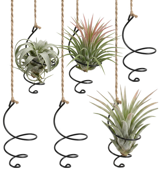Thrymme 6 Pcs Air Plant Hanger, Airplant Plant Holder Set with Jute Rope - Black Iron Hanging Display for Tillandsia, Home & Office Decor