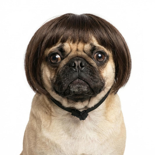 Elegaperma Dog Wigs for Small Dogs, Dog Wigs with Adjustable Elastic Bands