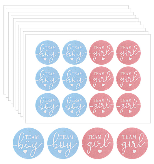 120 Pcs Gender Reveal Stickers, Team Boy or Girl Stickers (Pink, Blue)