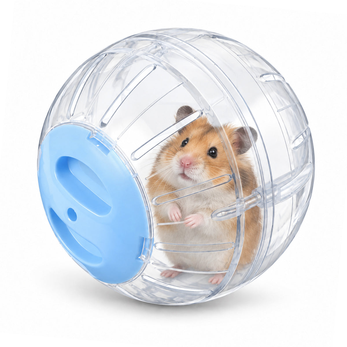 Elegaperma 5.7 Inch Hamster Ball Large, Transparent PP Dwarf Hamster Ball
